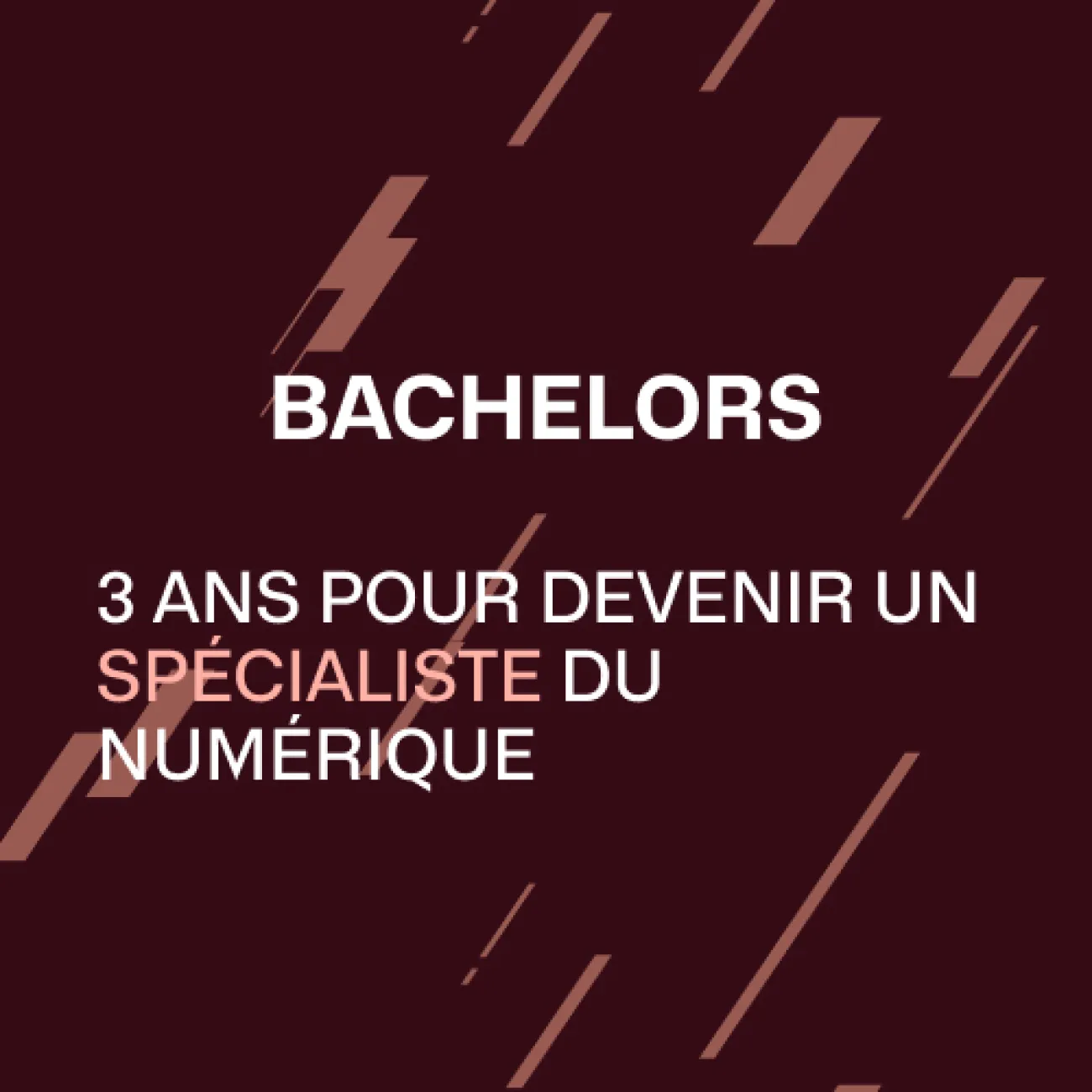 Bachelors | HETIC